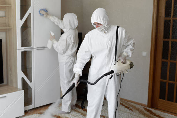 Crawl Space Mold Removal in Boley, OK