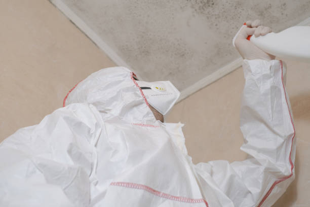 Best Certified Mold Removal  in Boley, OK