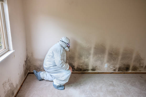  Boley, OK Mold Removal Pros