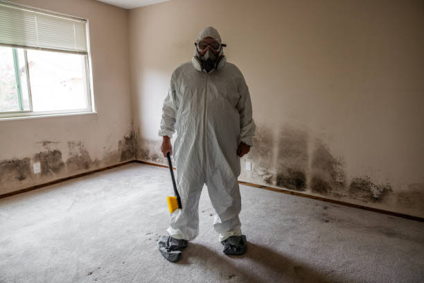 Best Mold Removal and Inspection  in Boley, OK